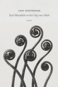 Karl Blossfeldt en het Oog van Allah - Cees Nooteboom