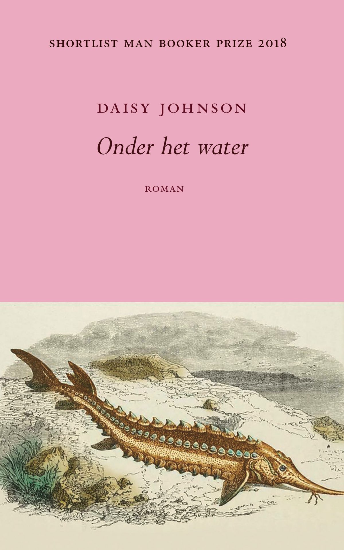 Onder het water – Daisy Johnson