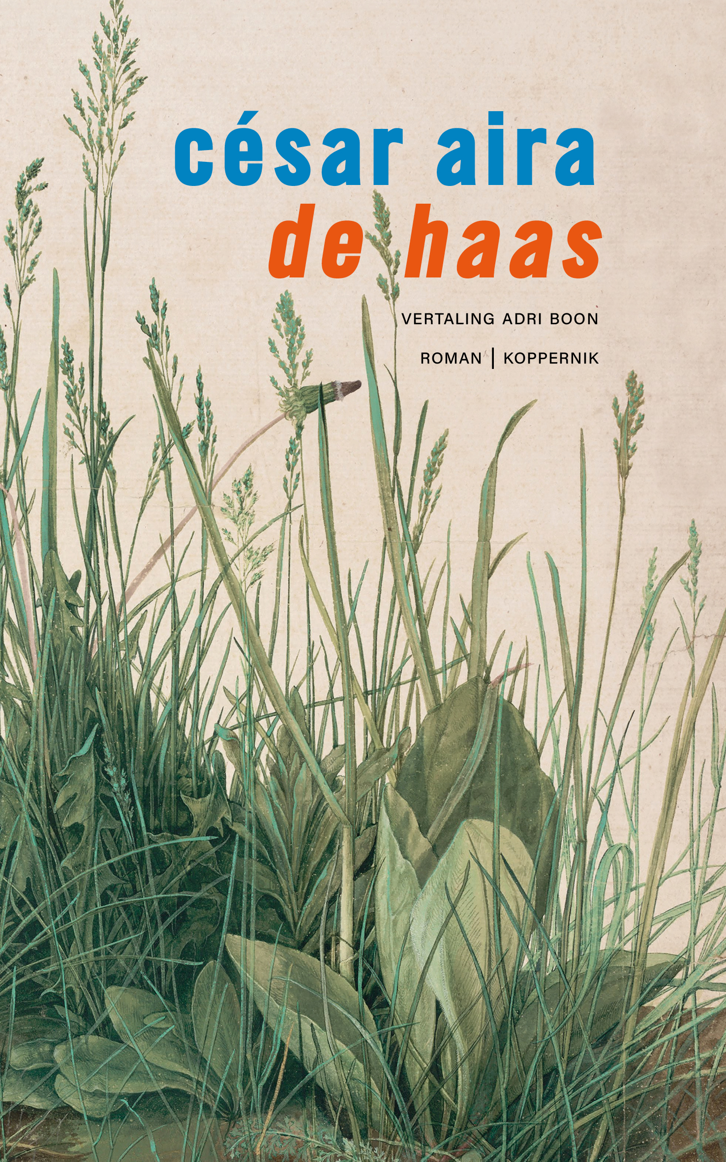 De Haas – César Aira